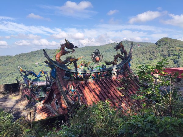 微笑山線：【大棟山系】百年大溶樹的2937778