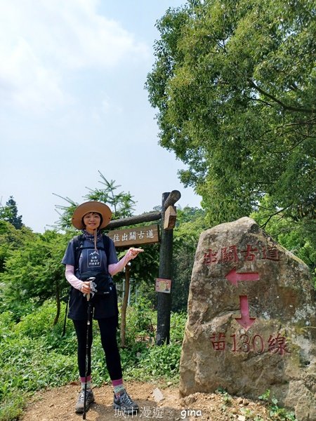 【苗栗大湖】步道多行走在舒適的綠蔭中。 No36小百岳~關刀山步道(出關古道關聖段)2528132