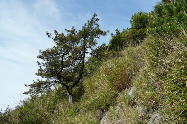 南橫三星 | 南橫公路風華再現、埡口爍爍關山嶺山1700359