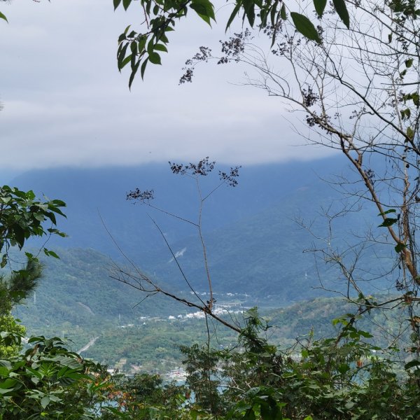 花蓮鯉魚山(小百岳)2003454