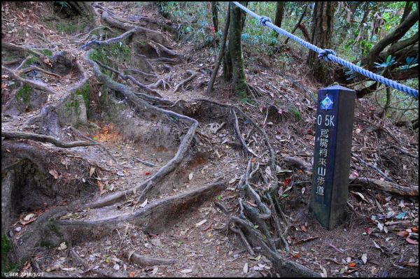 一顆大石頭 ~ 三訪鳶嘴山338560