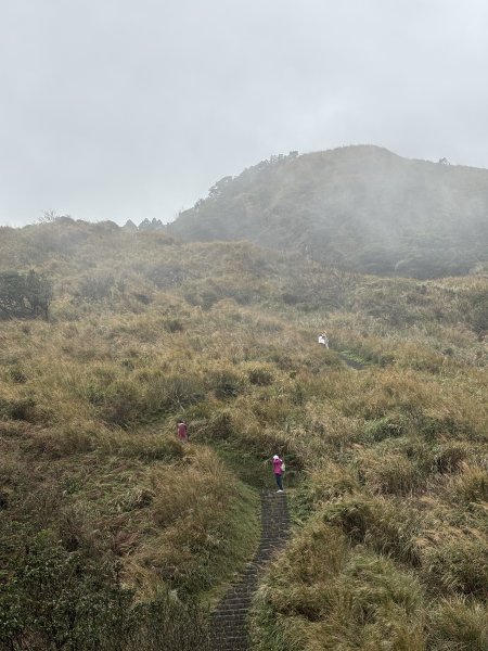 陽明山東西大縱走-東段2984553