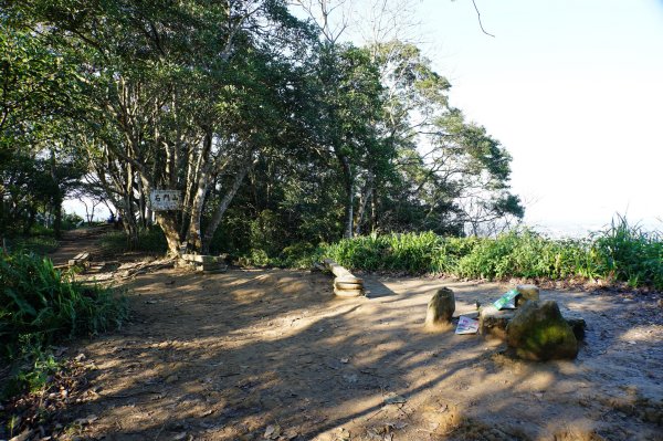 桃園 龍潭 太平山、清水坑山、石門山、小粗坑山、大竹坑山2977112