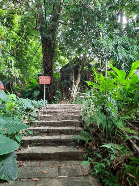 20230722 頂山石梯嶺縱走坪頂古圳，聖人瀑布2227238