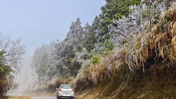 #霧淞 #雲海 #雲瀑 #霧虹 #太平山 #望洋山 #觀雲步道 #翠峰道路  2/82995363