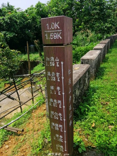 【基隆。仁愛】小百岳集起來。編號7小百岳~紅淡山步道1346369