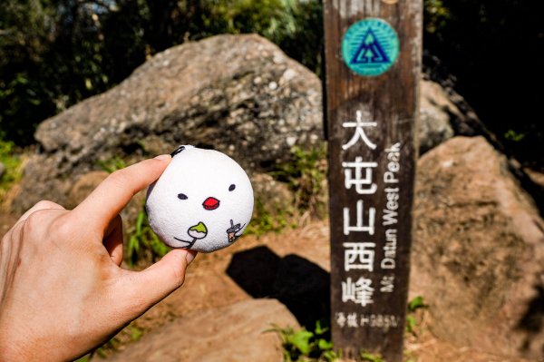 大屯山連峰步道｜陽明山小百岳2856268