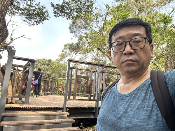 羊稠森林步道3020905