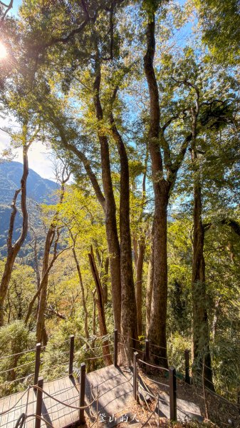 雪山坑環線步道2988762