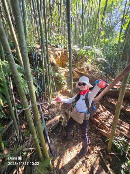 20251117新竹內灣三山四峰(內灣山.麥樹仁山南峰.麥樹仁山.白石湖山)2939892