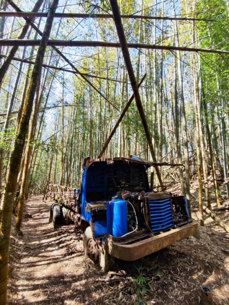 大雪山長壽三崠2691115