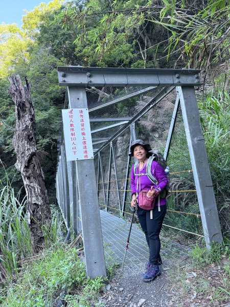 來去郡大坐龍貓公車順登對關山2822328