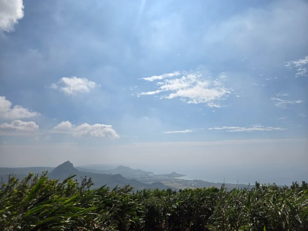 大山母山（小百岳）3007471