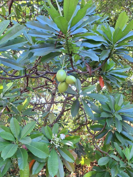 北關海潮公園202508312877141