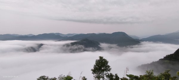 #翡翠水庫壩頂 #日出 #雲海 4/93031847