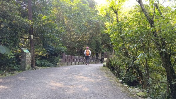 (姨婆趴趴走)第四十八集:新北草嶺古道（福隆車站-大里車站）2747649