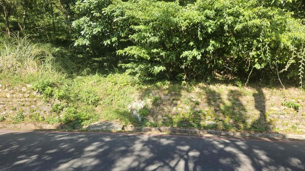 20251015木尾山-竹子湖水尾山-竹子湖西峰(騎車爬山)2915988