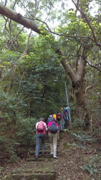 【臺北親山拓印趣】天母山天母古道愛富二街984043