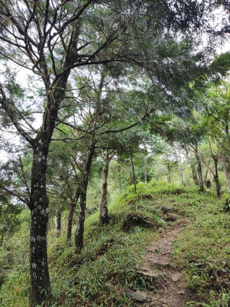 2023.12.14 鵲子山2804618