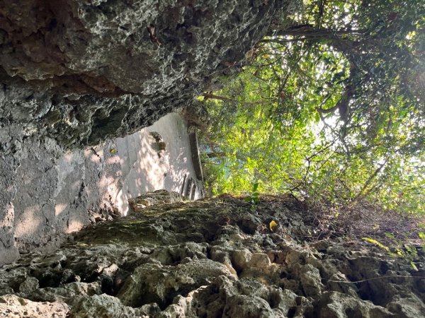 20251101_大崗山（高雄小百岳）2941409