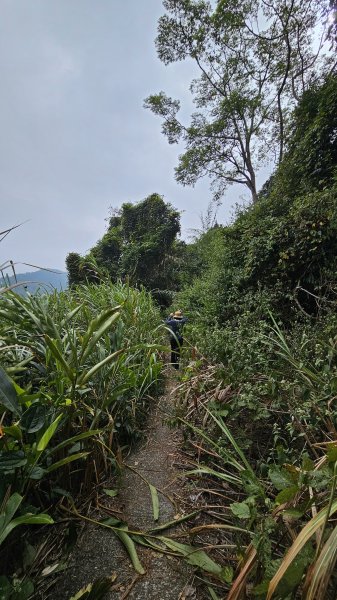 【登頂小百岳；見證九二一】解鎖第57座小百岳，編號047九份二山 🏔️2952089