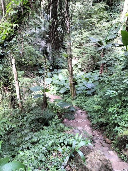 五指山登山步道2269252