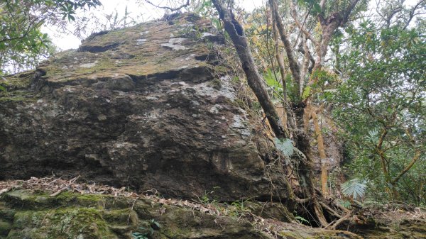 衣丁山單攻初體驗2025年3月30日2749817