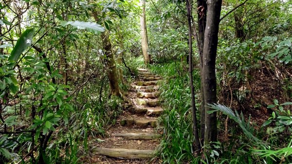 福州山,中埔山,黎和生態公園2234128