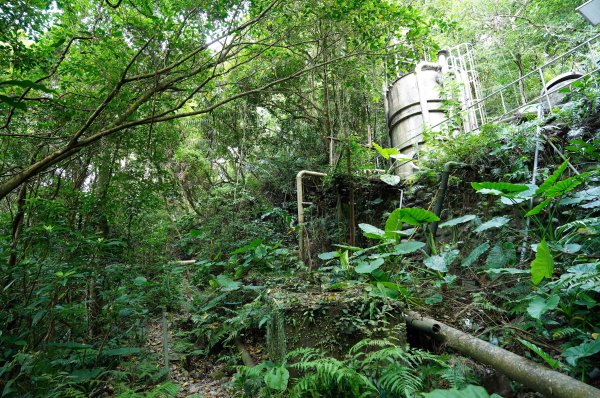 新北 烏來 烏來山、大桶山、四崁水山2829227