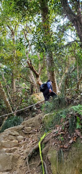 一日2座小百岳仙山、關刀山外加獅潭仙草秘境2082379