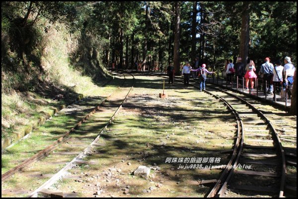 太平山茂興懷舊步道500760