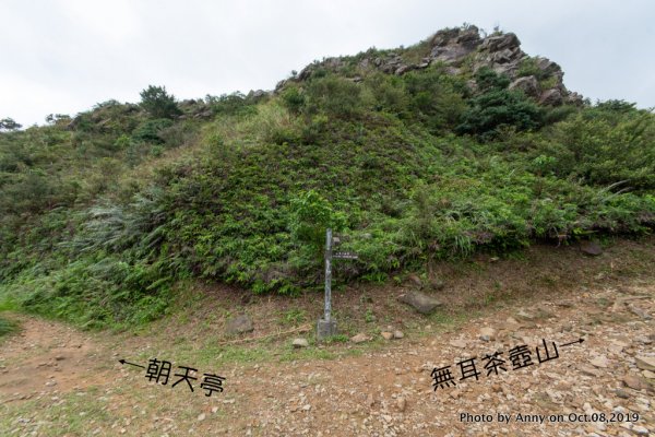 茶壺山登山步道700937