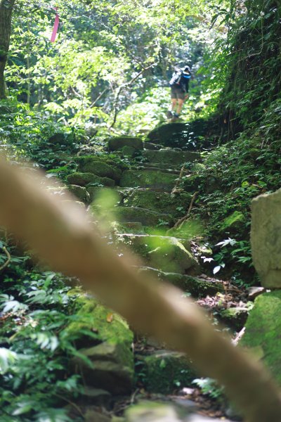 淡蘭古道中路-中坑古道至闊瀨2554159