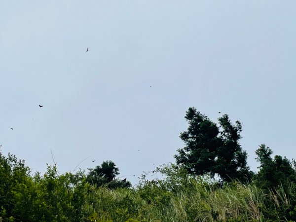 淡蘭中路（暖暖車站-十分車站）1685531