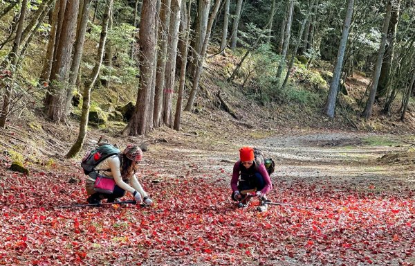 北三錐山 大雪山 200林道 賞楓行2373109