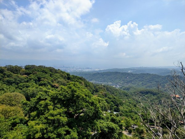 《觀音山步道》福隆山步道、硬漢嶺步道、楓櫃斗湖步道、林梢步道 (2020/8/16)1433296