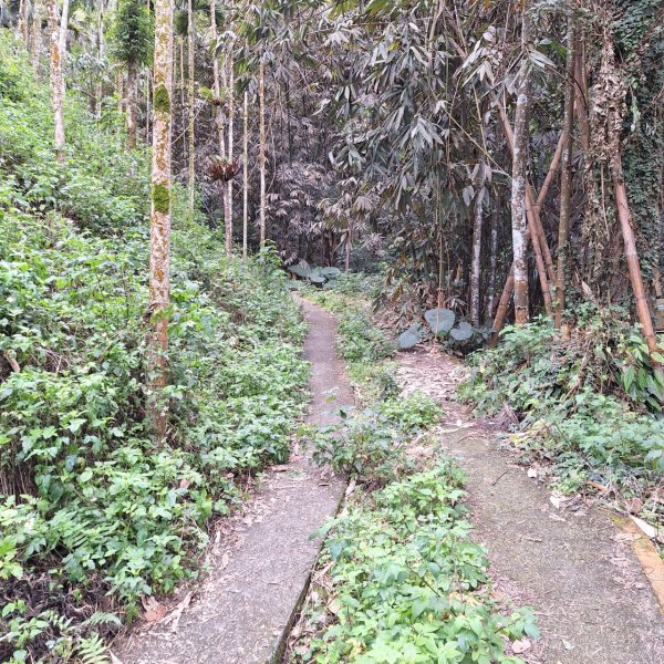 【小百岳52】後尖山完成!2705859