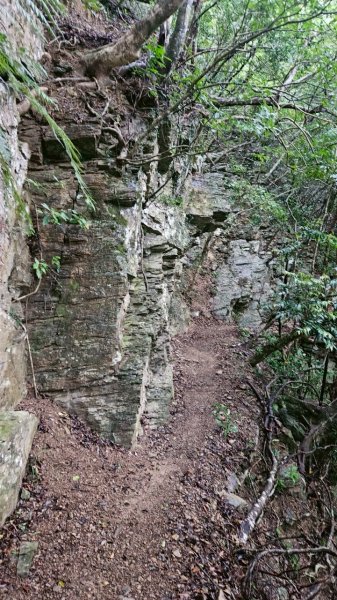 20250413浸水營古道2760338