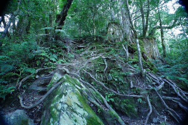 宜蘭 大同 加羅山2890272