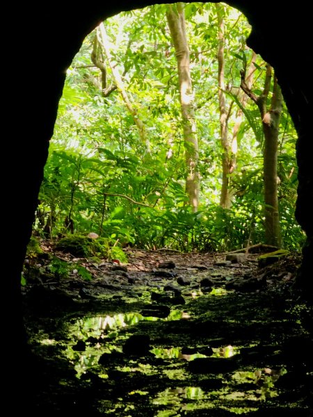 (五分山系)菁桐煤礦-2025微笑山線大縱走尋寶集章任務2855324