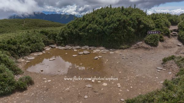 20180714合歡山北峰376303