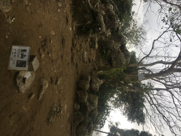 鳶山三連峰O繞一圈（三峽老街祭五臟廟 #鳶山 #鳶山東峰 #鳶尾山 #鳶山岩 #三峽老街2683249