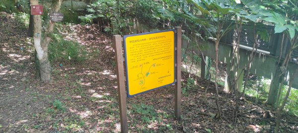 中國浙江   普陀山3084315