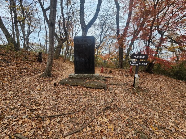 20251125登月居山遊袋田瀑布順遊舊上岡小學校2958372