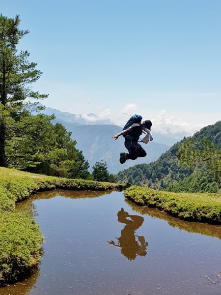 誘惑登山新手路線 塔塔加鹿林山麟趾山689721