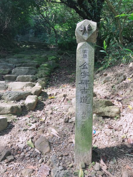 ~ 淡蘭古道系列 -- 金字碑古道 ~1011940