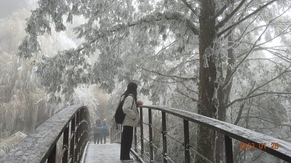 霧茫茫雪白冰封世界-太平山首度追霧淞成功202301282009630