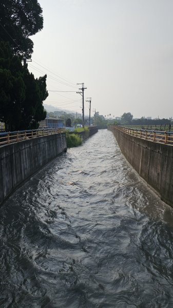 240504-小百岳#051松柏坑山。美美兔第42座小百岳。2498531