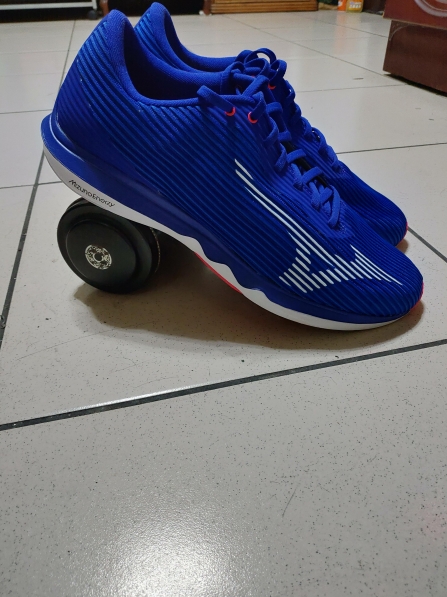 Mizuno Wave Shadow 4