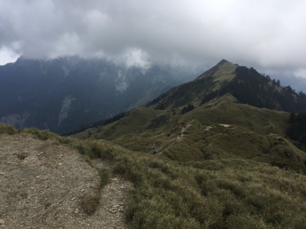 花呢！小奇萊登山步道965339